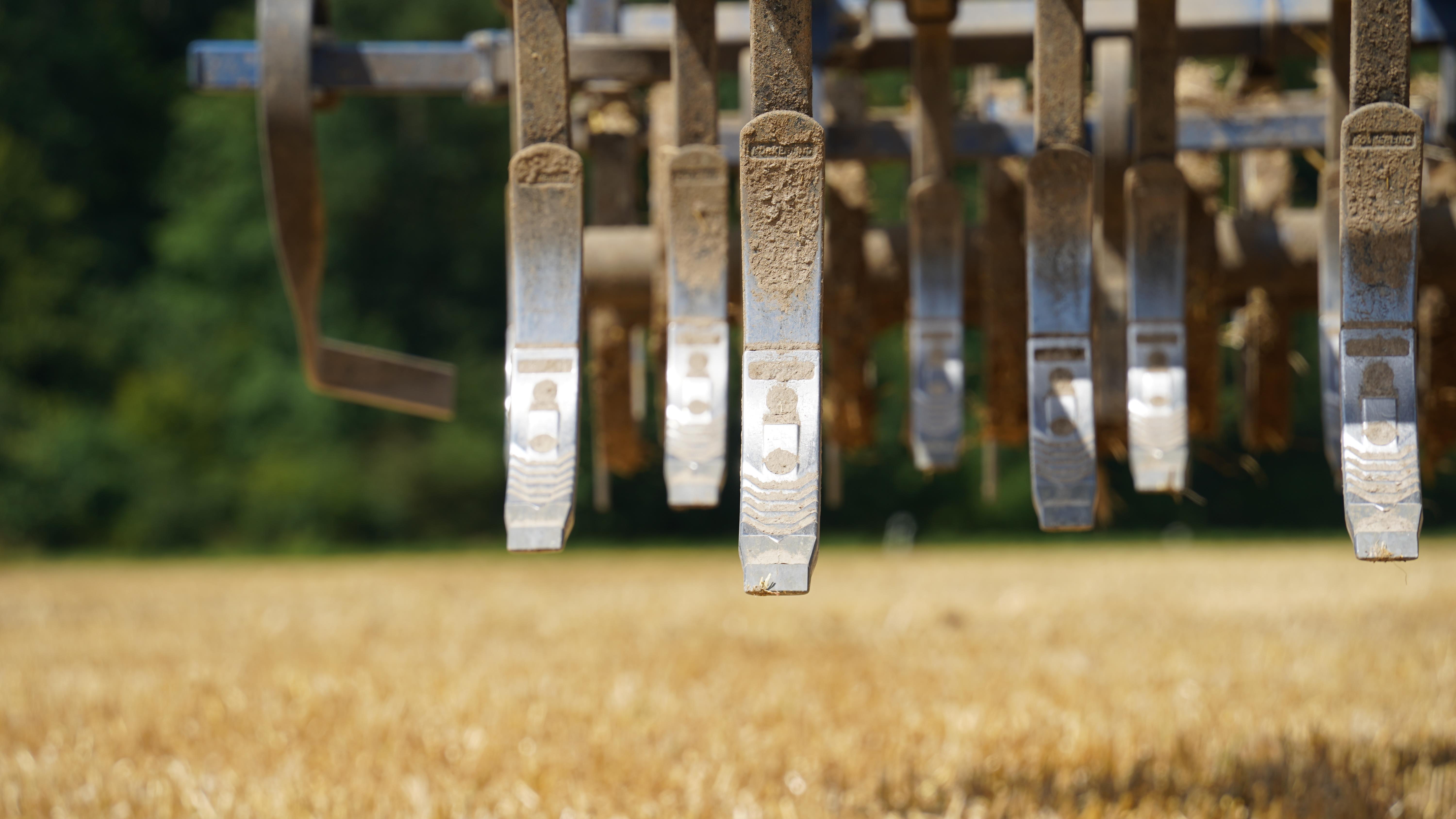 Hartmetall Vario-schar 60x30mm